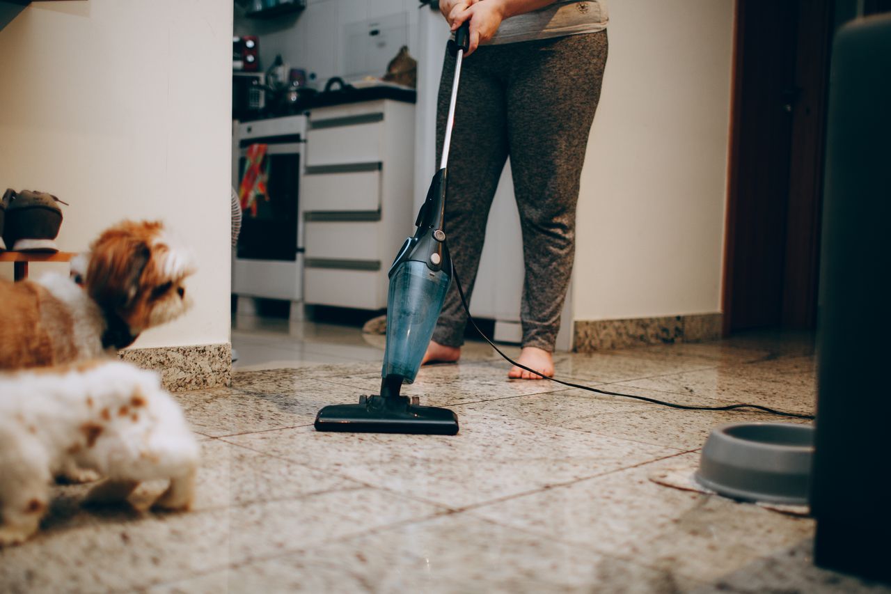 A woman cleaning the floor with a vacuum cleaner while a dog watches attentively. Indoor home setting.